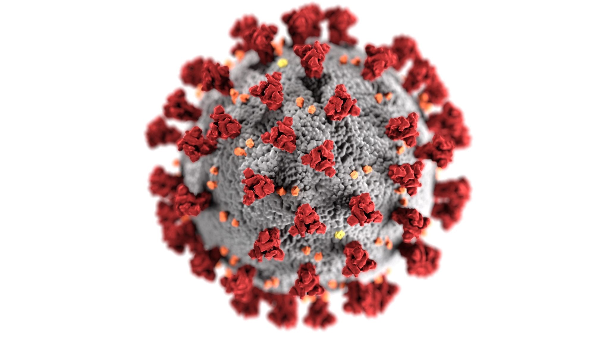 Corona Virus (COVID-19)