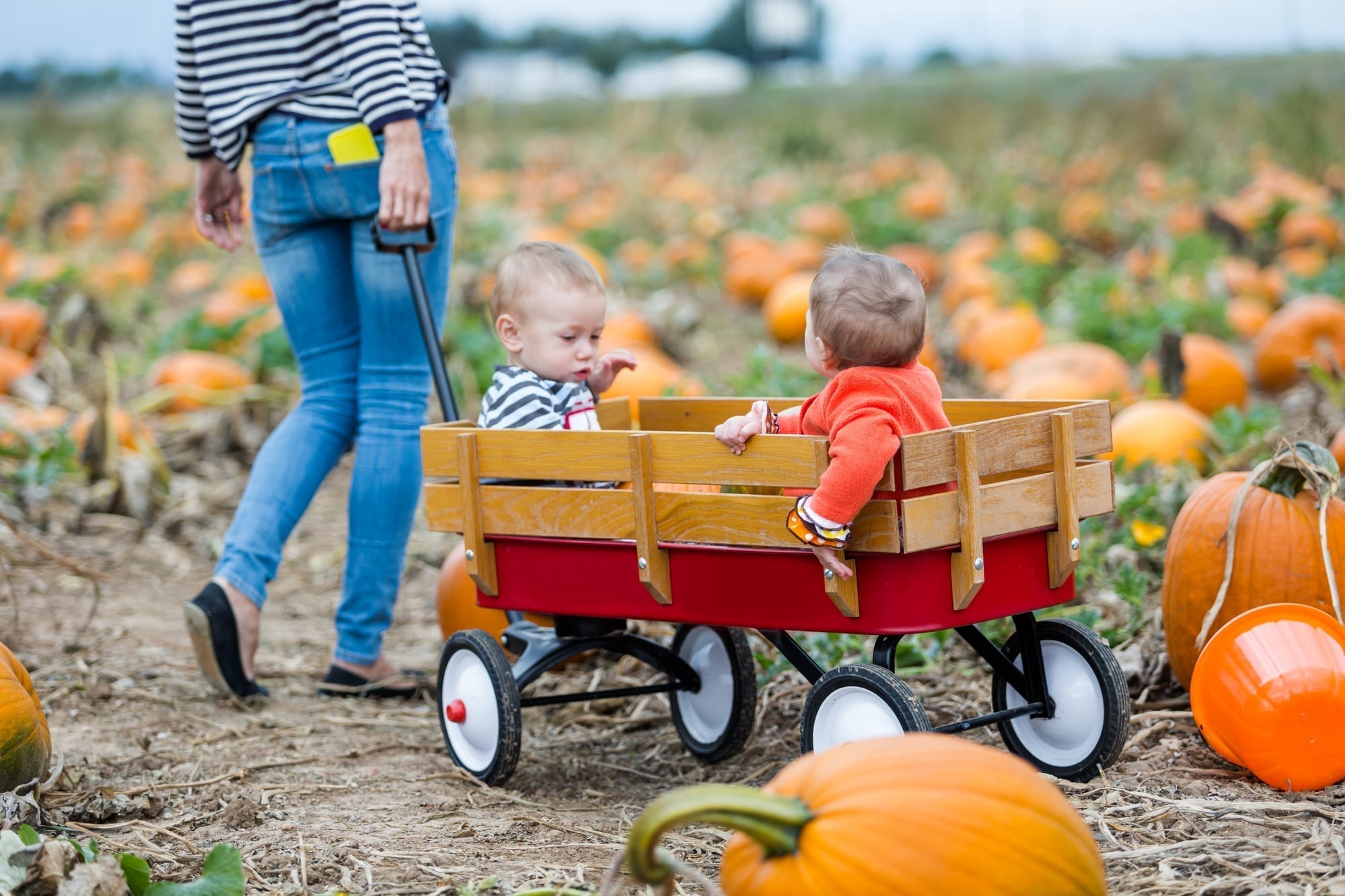 little boys in wagon