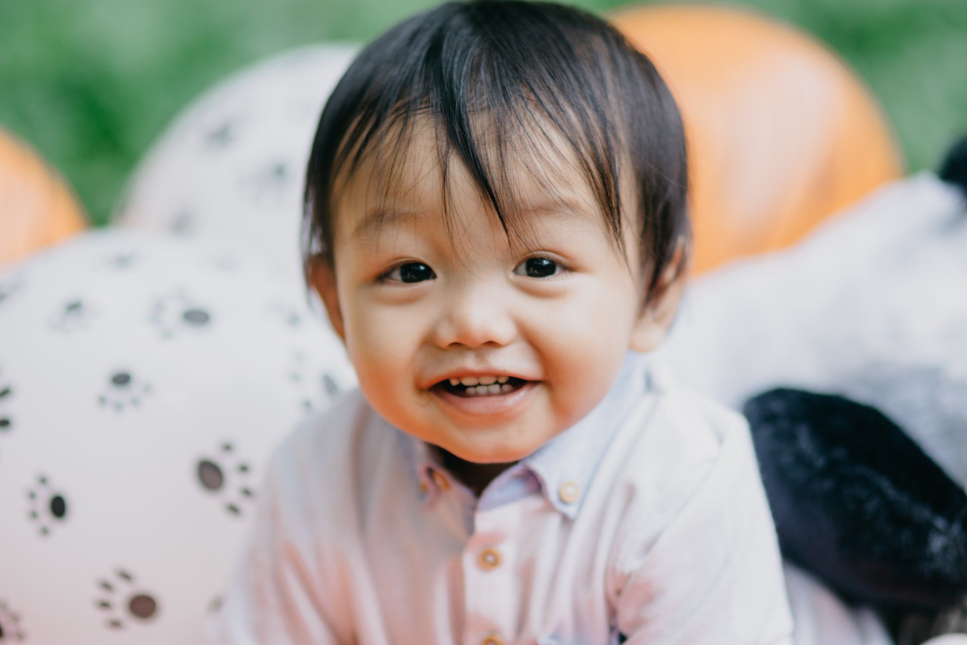 Little child flashes their baby teeth with a bright smile